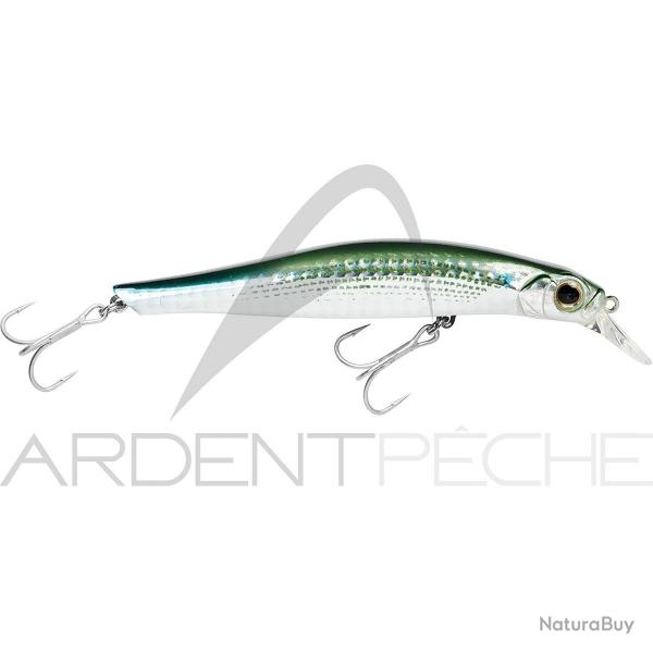 Poisson nageur JACKSON Artist FR105 RBO