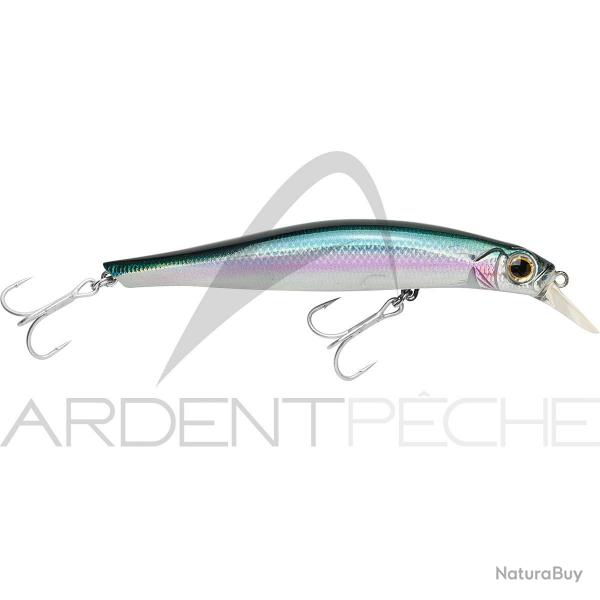 Poisson nageur JACKSON Artist FR105 NKI