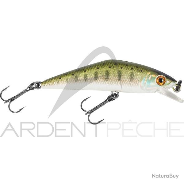 Poisson nageur SMITH D Contact 50 03