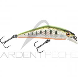 Poisson nageur SMITH D Contact 50 40