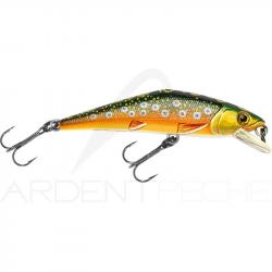 Poisson nageur SMITH D Contact 50 T4