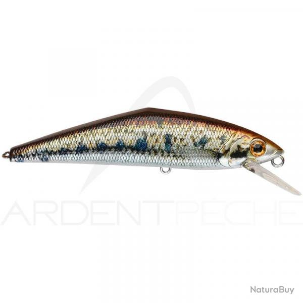 Poisson nageur SMITH D Contact 50 V4