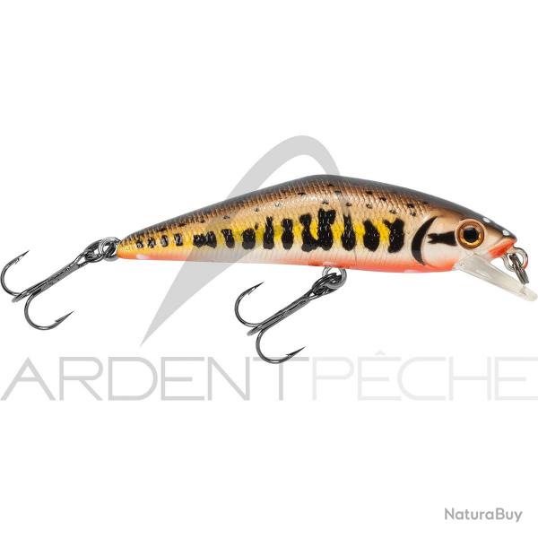 Poisson nageur SMITH D Contact 85 Vairon 2