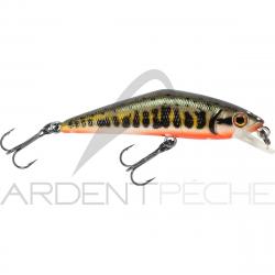 Poisson nageur SMITH D Contact 63 Vairon 1