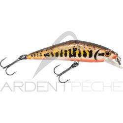 Poisson nageur SMITH D Contact 63 Vairon 2