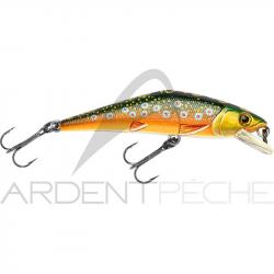 Poisson nageur SMITH D Contact 63 T4