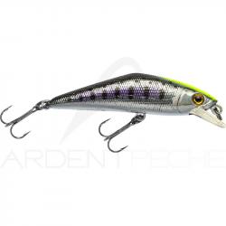 Poisson nageur SMITH D Contact 63 53