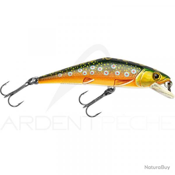 Poisson nageur SMITH D Contact 72 T4