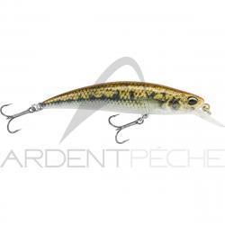 Poisson nageur DUO Spearhead ryuki 70 S ACCZ114 Goujon