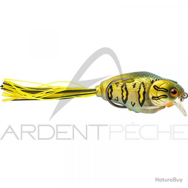 Poisson nageur MOLIX Supernato baby Dady bass 54