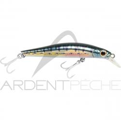 Poisson nageur JACKSON Artist FR70 Vairon