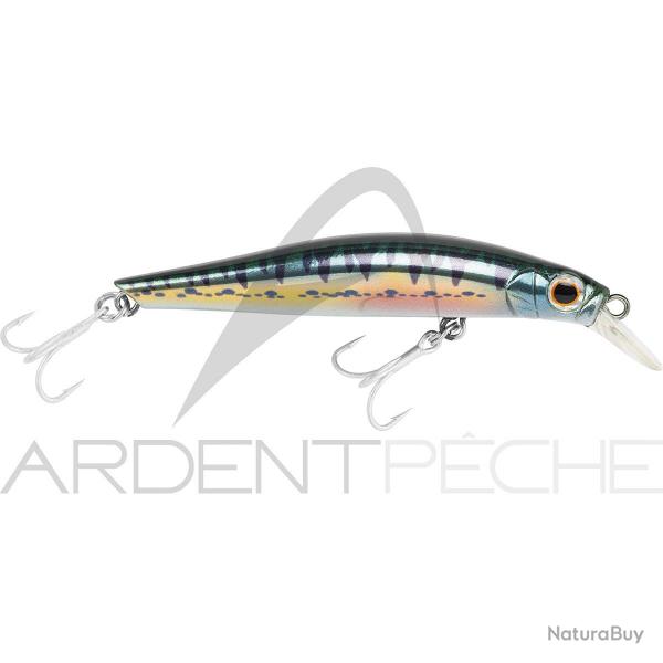 Poisson nageur JACKSON Artist FR70 Vairon