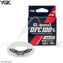 Fils fluorocarbone YGK G Soul DFC 30m 8 lb