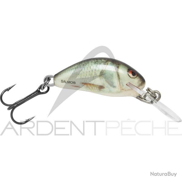 Poisson nageur SALMO Hornet 2 S Real dace