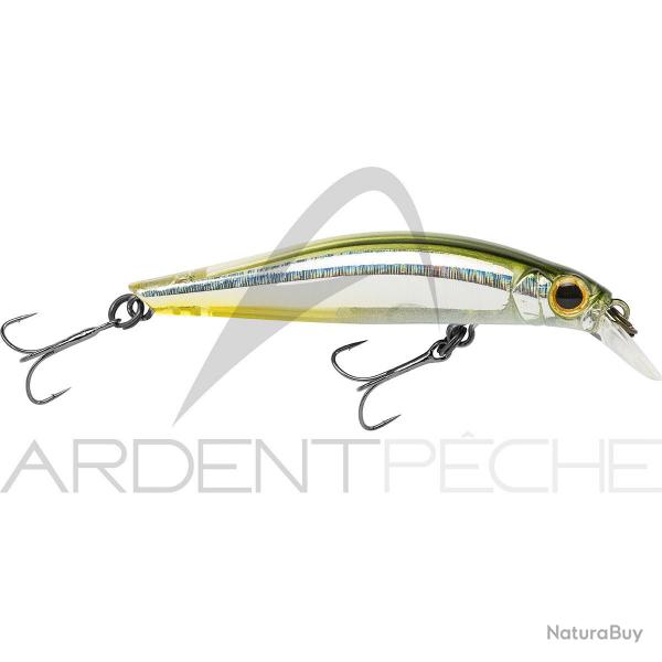 Poisson nageur JACKSON Artist FR55 SSS
