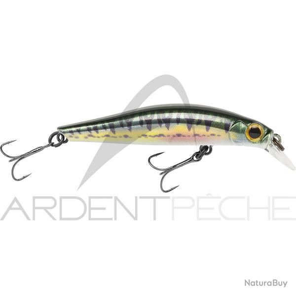 Poisson nageur JACKSON Artist FR55 Vairon