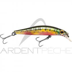 Poisson nageur JACKSON Artist FR55 Vairon nuptial