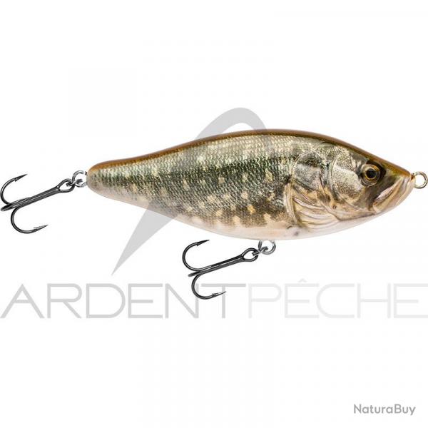 Poisson nageur BIWAA Raffal 100 40 Pike