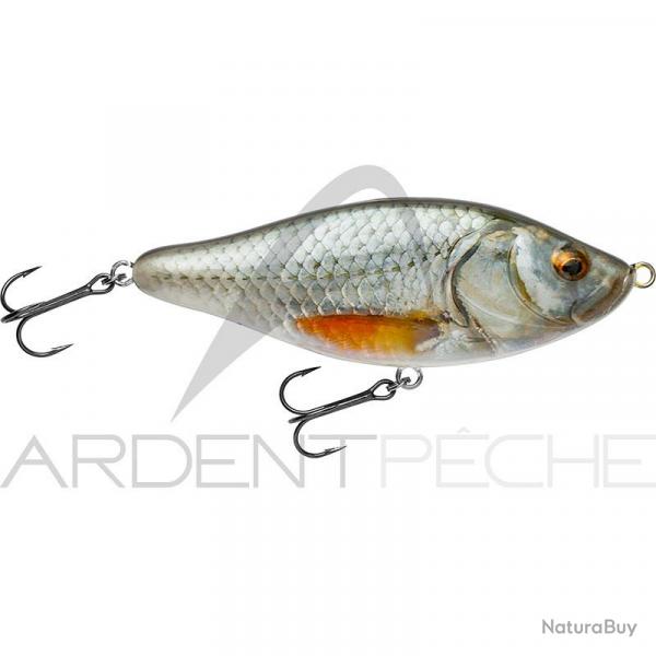 Poisson nageur BIWAA Raffal 150 38 Roach