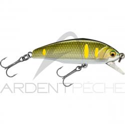 Poisson nageur SMITH D Incite 53 08