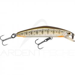 Poisson nageur SMITH F Select 64 06