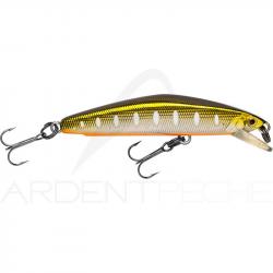 Poisson nageur SMITH F Select 64 08