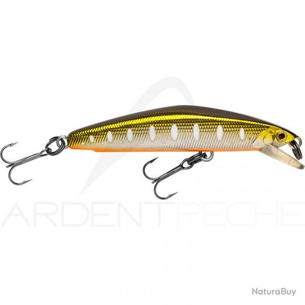 Poisson nageur SMITH F Select 64 08