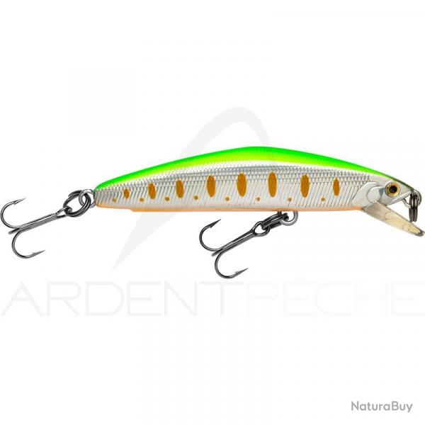 Poisson nageur SMITH F Select 64 13