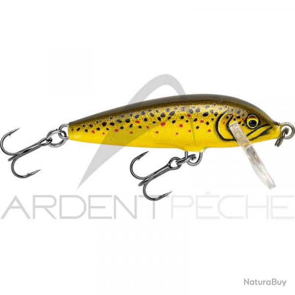 Poisson nageur RAPALA Countdown 05 ATR