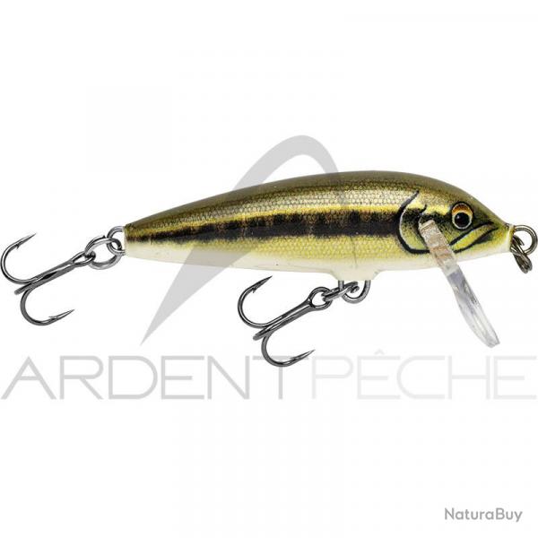 Poisson nageur RAPALA Countdown 07 AMN