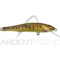 Poisson nageur MEGABASS Great hunt 70 flatside Vairon