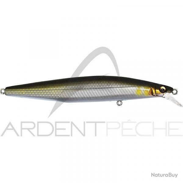 Poisson nageur MEGABASS Marine gang 120 F Takumi Seochi ayu SPC