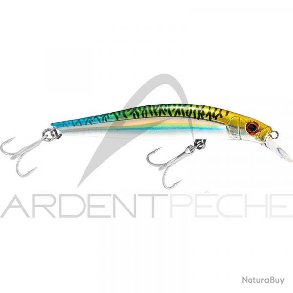 Poisson nageur JACKSON Artist 85 HW FSM
