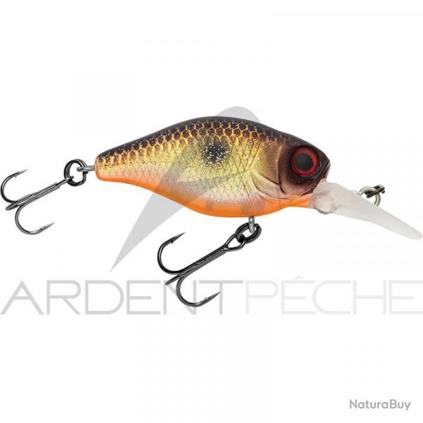 Poisson nageur ILLEX Chubby 38 MR Muddy roach
