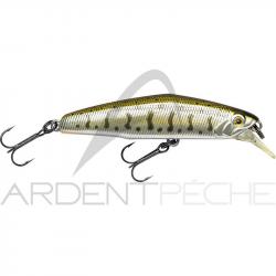 Poisson nageur SMITH D Coax 65 06