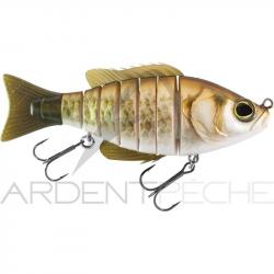 Poisson nageur BIWAA Seven 7 12 Carassin
