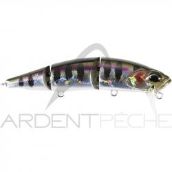 Poisson nageur Rozante perj 95 F GDA3058 Prism gill