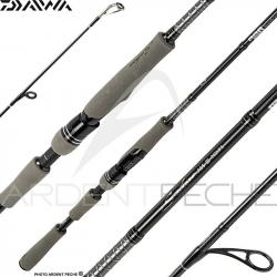 Canne spinning DAIWA Saltist AGS III Seabass edition 962 H XH FSCF