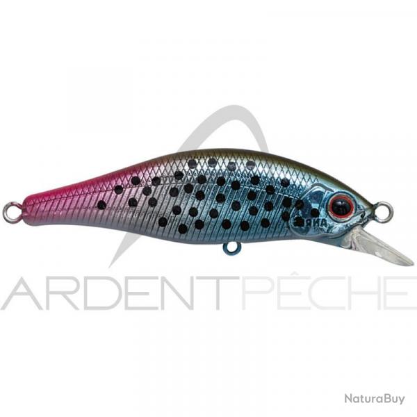 Poisson nageur PALMS Alexandra 63 HW IT Ito