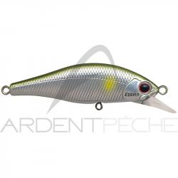 Poisson nageur PALMS Alexandra 63 HW MAL51 Mad ayu