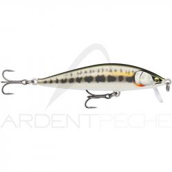 Poisson nageur RAPALA Countdown elite 95 GDMN