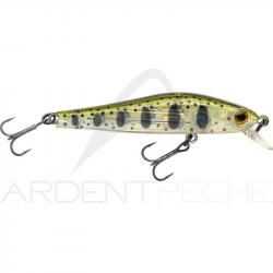 Poisson nageur ZIP BAITS Rigge 56 F 800