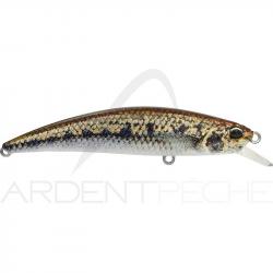 Poisson nageur DUO Spearhead Ryuki 70 F ACCZ114 Goujon
