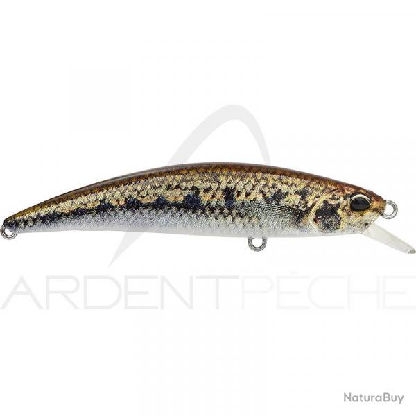 Poisson nageur DUO Spearhead Ryuki 70 F ACCZ114 Goujon