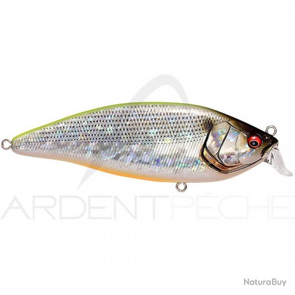 Poisson nageur MEGABASS Konosirus shad GG Chart back konoshiro
