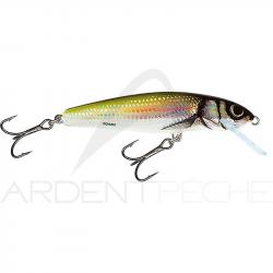 Poisson nageur SALMO Minnow 5 F Holo bleak