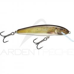 Poisson nageur SALMO Minnow 6 F Grayling