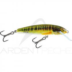 Poisson nageur SALMO Minnow 6 F Holo real minnow
