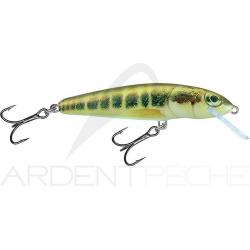 Poisson nageur SALMO Minnow 6 S Minnow