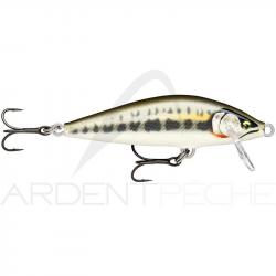Poisson nageur RAPALA Countdown elite 35 GDMT
